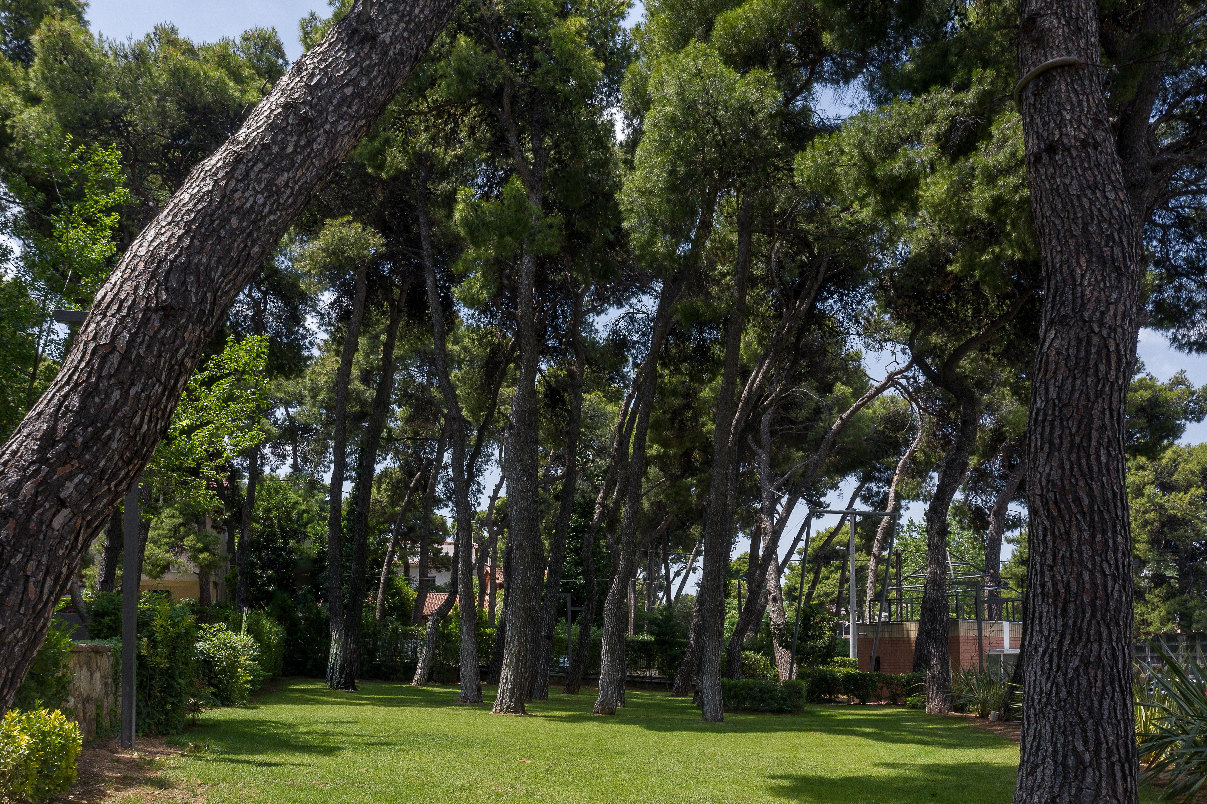 Domotel Kastri Hotel 4*